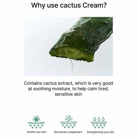 [Onone] Blooming Cactus Soothing Cream 80ml